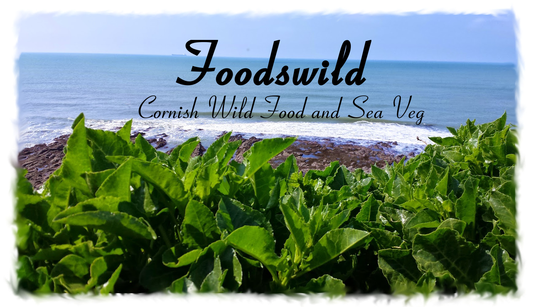Foodswild Logo